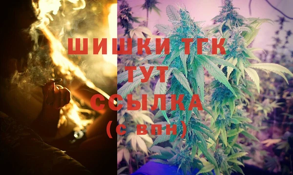 Альфа ПВП Пролетарск