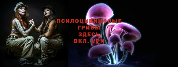 Альфа ПВП Пролетарск