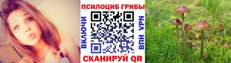Псилоцибиновые грибы ЛСД Симферополь